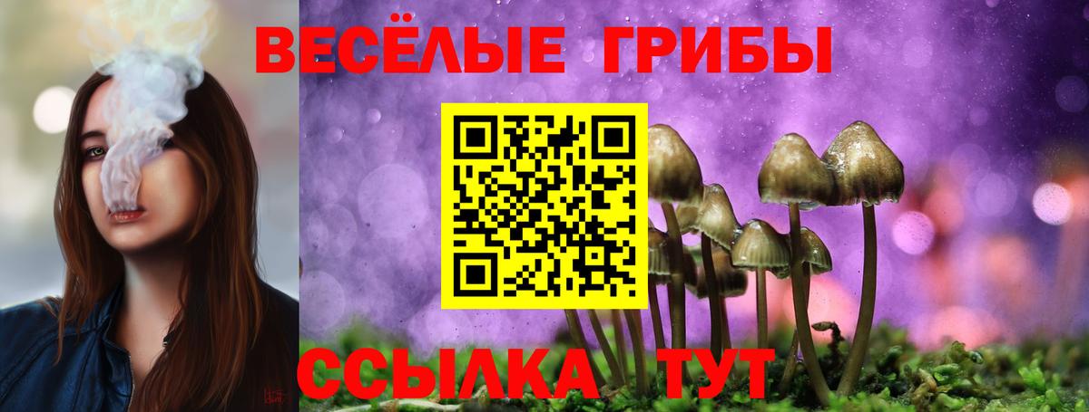 Псилоцибиновые грибы Psilocybine cubensis Прохладный